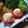 ぶーにゃんM's cooksnap of when they made ミニトマトに卵サラダ入れちゃった！.