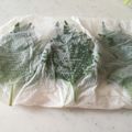 miocestino's cooksnap of when they made 大葉の保存方法.