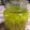 クックDZ05E5☆'s cooksnap of when they made ニンニクの保存ニンニクオリーブオイル漬け.