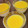 ♡Baseball♡'s cooksnap of when they made とろとろ絶品☆濃厚半熟プリン.