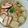 くまとりどん's cooksnap of when they made タイ料理:魚団子入りタイ風ラーメン.
