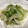 まめこ8888's cooksnap of when they made レタスだけ～♪超簡単な洋風レタス炒め.