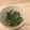 TSatoshi's cooksnap of when they made 簡単☆食感がいい♪オクラのお浸し☆.