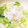 さきさ☆'s cooksnap of when they made 新たまねぎとみょうがの酢漬け.