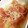 akko♪（＾＾）♪'s cooksnap of when they made 新玉ねぎと生ハムのマリネ.