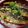 ばく★ちく's cooksnap of when they made イワシの蒲焼き丼♡.