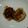 風の翼's cooksnap of when they made 鶏挽肉で照り焼きハンバーグ.