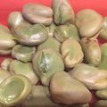 93ママ's cooksnap of when they made ルクエで空豆を蒸そう♪.