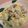 もぐmama＊'s cooksnap of when they made 簡単絶品！鍋1つでクリームスープパスタ♪.