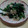 drive's cooksnap of when they made 【副菜】あさりとほうれん草のガーリック炒.