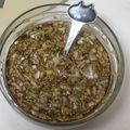 ぴよりこ's cooksnap of when they made 食べやすいネギソース.