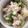 ma___111's cooksnap of when they made 枝豆ごはん（枝豆と梅とゴマはあと混ぜ）.