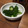 みみふぁん's cooksnap of when they made 夏にさっぱり、超簡単きゅうりのたたき♪.