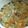 クックZGXJT8☆'s cooksnap of when they made 離乳食✿キャベツと豆腐のとろとろ煮.