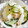 RIKOTORA's cooksnap of when they made 大根ときゅうりのツナマヨ和え.