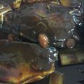 たぁこヨネ's cooksnap of when they made 鯖の味噌煮 めちゃ美味しい 簡単！.