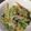 うーや♪'s cooksnap of when they made 【龍愛】小松菜のナムル.