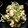 ◇◆びゃんこ◆◇'s cooksnap of when they made 鯵ときゅうりの冷や汁風.