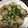 湊そな's cooksnap of when they made 時短！豚肉の巻き巻きポン酢蒸し.