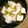 muddler's cooksnap of when they made 豆腐とめかぶのスープ.