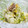 みっくママ's cooksnap of when they made オイマヨぽんでキャベツの和え物.