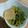たけなお☆'s cooksnap of when they made いつもはほうれん草だけど豆苗の煮びたし.