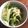 SmileMommy's cooksnap of when they made 豆苗とじゃがいもの梅サラダ.