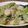 みきんこと神威's cooksnap of when they made ホタテと青梗菜の炒め物.