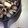スクラッチャー's cooksnap of when they made キャンプ飯★簡単！あさりのバター酒蒸し.