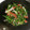 ｼｮｺﾗmode's cooksnap of when they made 豆苗とカニかまのナムル.