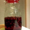ぐぅちぃ's cooksnap of when they made ジューンベリー酢の作り方と応用編.
