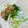 SP♪'s cooksnap of when they made 青菜とかまぼこの柚子胡椒ポン酢和え.