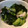 sararaママ's cooksnap of when they made 簡単！きゅうりとわかめの酢の物♪.