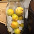 kinako10's cooksnap of when they made 美味！簡単梅ｼﾛｯﾌﾟで梅ｼﾞｭｰｽ！.