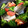 JA2136's cooksnap of when they made さごしで簡単！アクアパッツァ風.