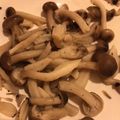 クックQMFTAJ☆'s cooksnap of when they made 簡単ノンオイル☆大人の胡椒しめじ.