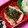 nosso's cooksnap of when they made 小松菜の炒め煮.