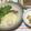おはなすき's cooksnap of when they made ハムエッグ チーズのせ♪.