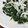 あこt's cooksnap of when they made 簡単早い☆ほうれん草としらすほんだし和え.