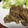 つるpigeonn's cooksnap of when they made 簡単生姜焼き.