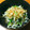 海老フライ定食's cooksnap of when they made ホウレン草とえのきのお浸し♪.