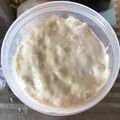 てら姉さん's cooksnap of when they made ビール酵母の中種と元種.