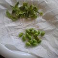 亜久里's cooksnap of when they made レンジde枝豆.