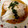 yu__ma's cooksnap of when they made いさきの蒸し煮.