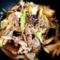 TRH☆'s cooksnap of when they made 豚肉、茄子、牛蒡、白ネギの味噌炒め.