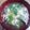 жゆきにゃж's cooksnap of when they made ☆青梗菜と春雨の中華スープ☆.