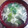 жゆきにゃж's cooksnap of when they made ☆青梗菜と春雨の中華スープ☆.