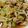 Ｍぱん's cooksnap of when they made 野菜たっぷりの甘辛ニンニク生姜炒め.