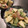 ひげちろ太郎's cooksnap of when they made うちの定番りんごサラダ.