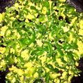 eiyu0818's cooksnap of when they made ピーマン嫌いにも☆簡単ピーマンの味噌炒め.